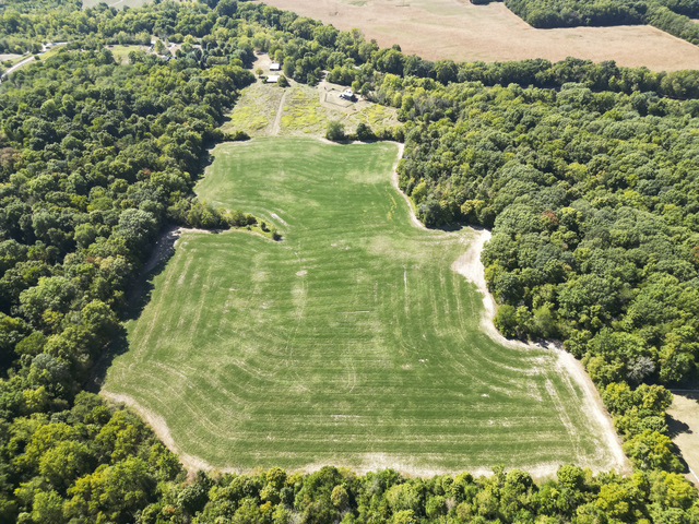 32 Acres Sold at Auction $31,050/Acre